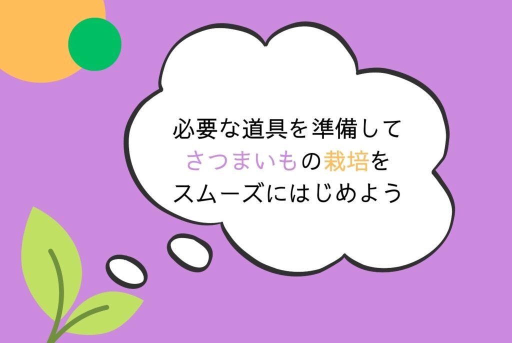 【初心者向け】さつまいもの栽培方法｜家庭菜園での植え方・育て方・収穫まで完全ガイド
