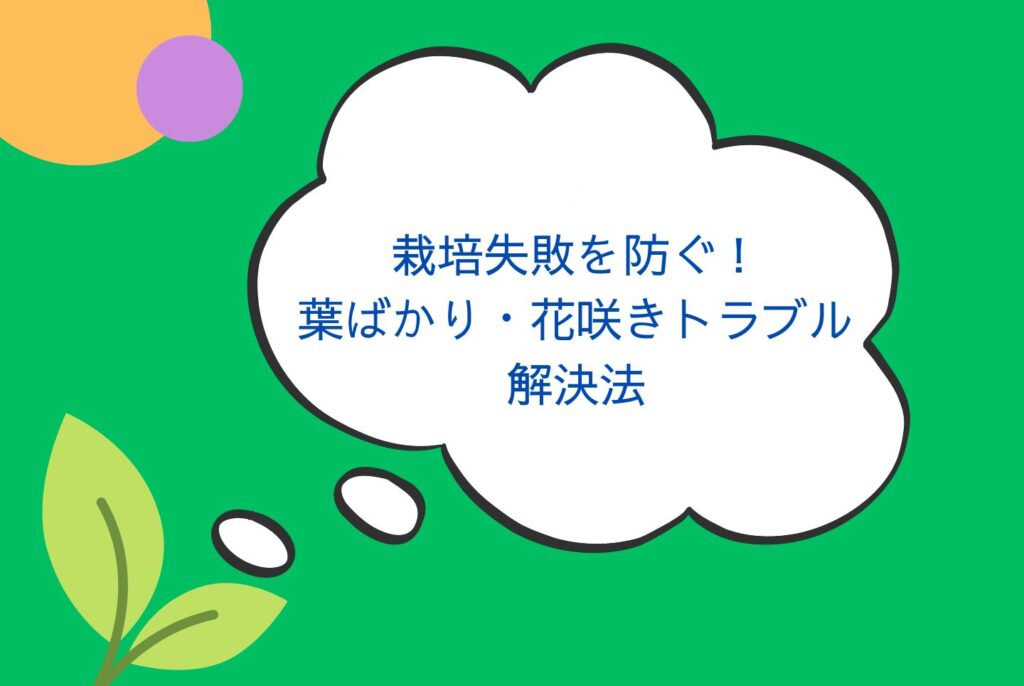 家庭菜園で失敗しないブロッコリーの育て方｜苗選び・栽培・収穫・保存方法を解説