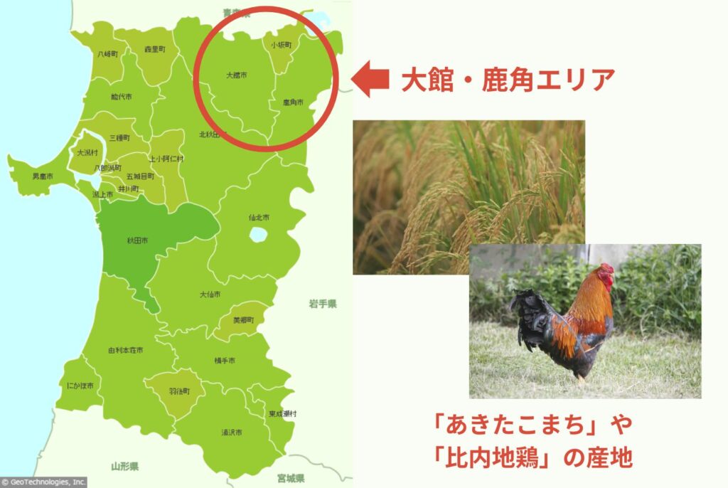 きりたんぽとは？秋田県・大館発祥の郷土料理｜歴史・特徴・作り方を解説