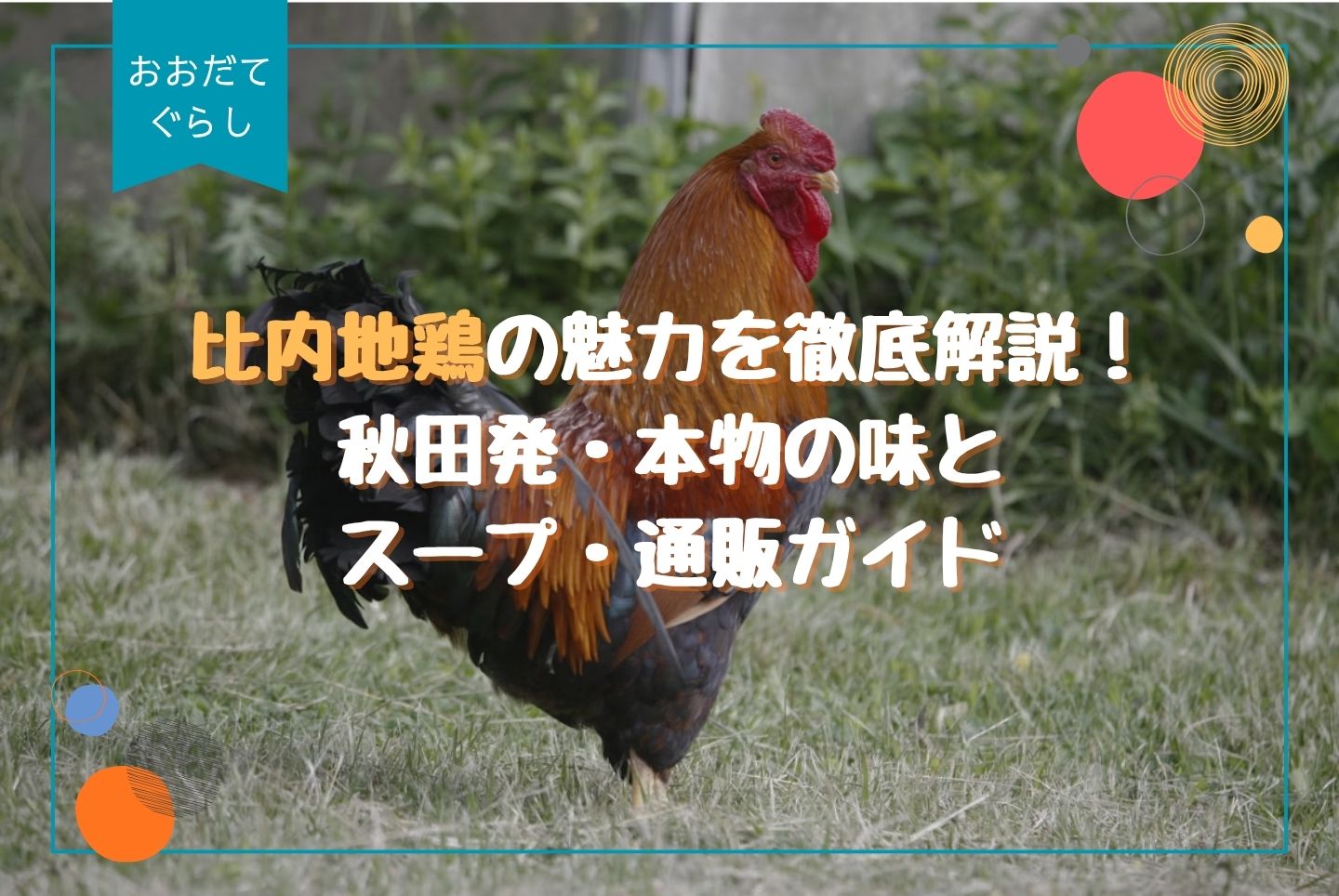 比内地鶏の魅力を徹底解説｜秋田発・本物の味とスープ・通販ガイド