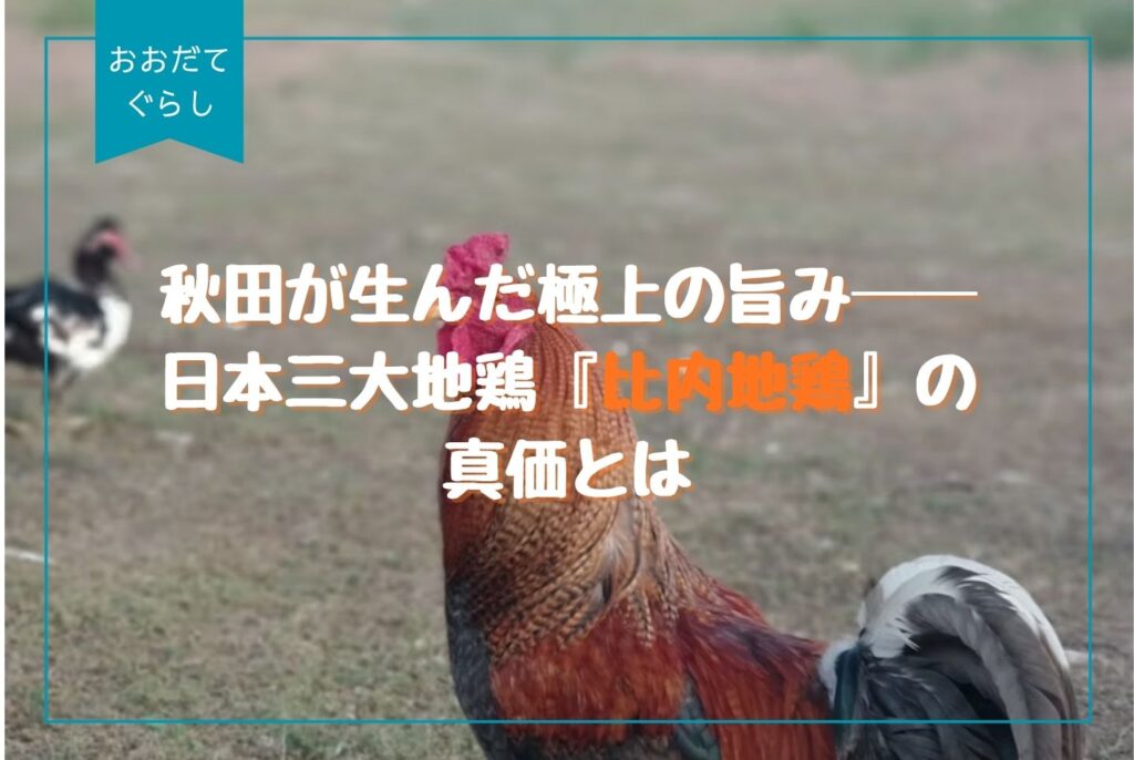 比内地鶏の魅力を徹底解説｜秋田発・本物の味とスープ・通販ガイド