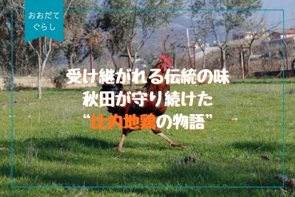 比内地鶏の魅力を徹底解説｜秋田発・本物の味とスープ・通販ガイド