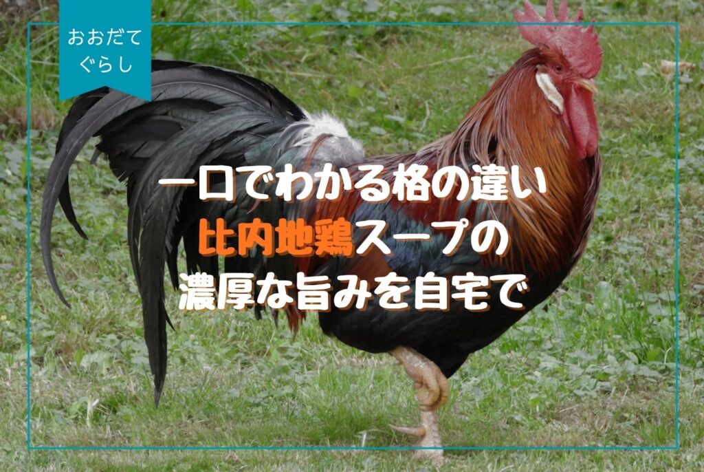 比内地鶏の魅力を徹底解説｜秋田発・本物の味とスープ・通販ガイド