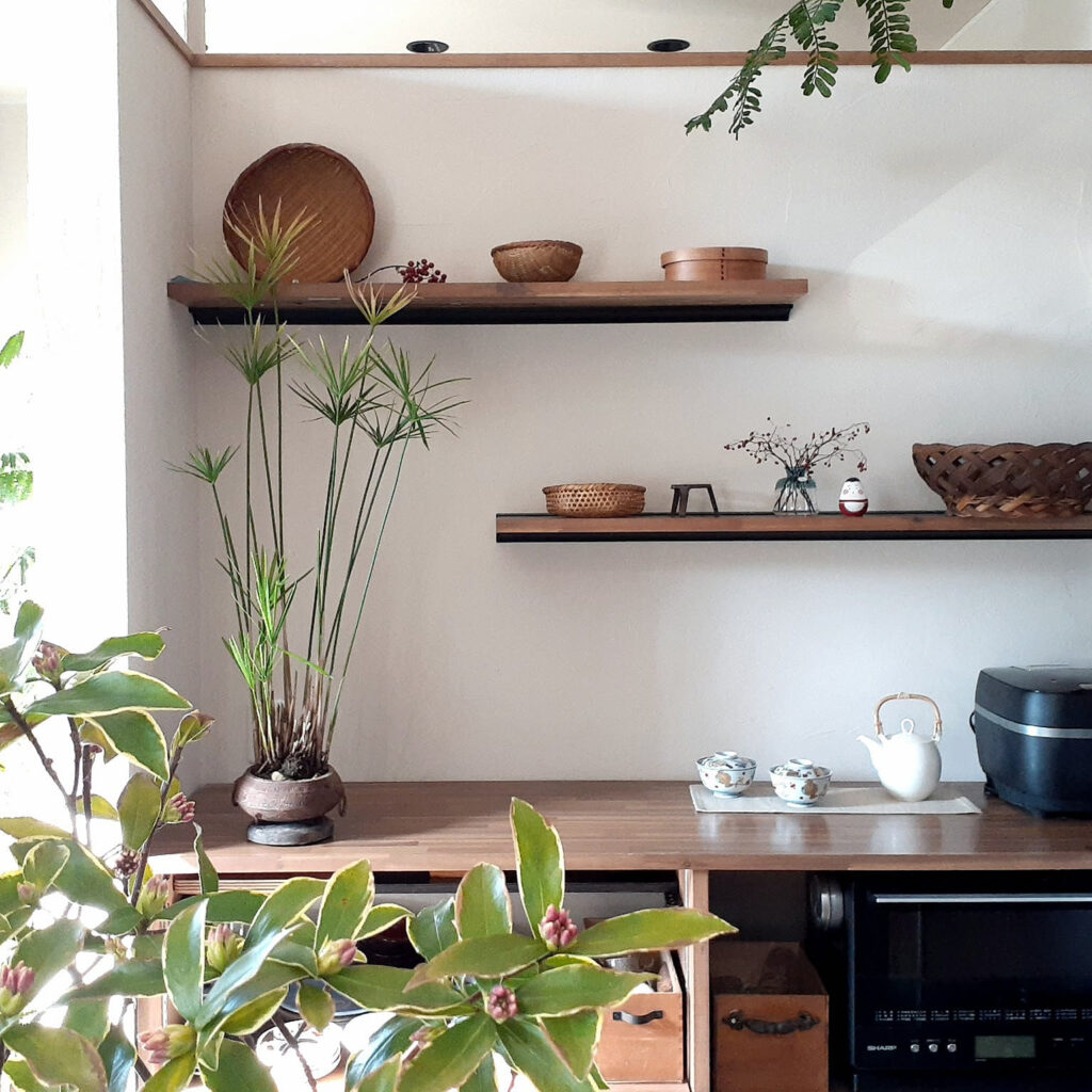 大館曲げわっぱ弁当箱の魅力と使い方|レンジ対応・デメリットも徹底解説